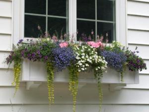 60-inch-window-box